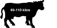Sides of Beef Sides of Beef