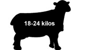 Whole Lamb Whole Lamb